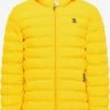 Schmuddelwedda Vestes Dhiver Veste D’hiver Homme Jaune 2 Schmuddelwedda Vestes Dhiver Veste D’hiver Homme Jaune -Schmuddelwedda 6a1996943959b42ff3a6868f8e6dd541